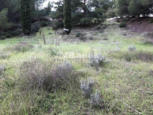 (For Sale) Land Plot || Limassol/Kalo Chorio Lemesou - 1.295 Sq.m, 145.000€ 