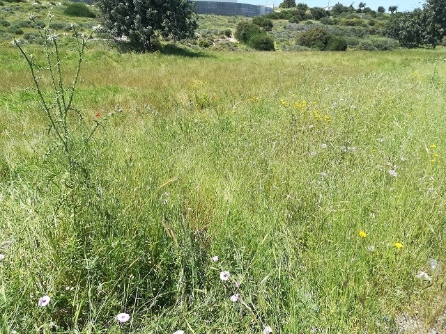 (Προς Πώληση) Αξιοποιήσιμη Γη Οικόπεδο || Λεμεσός/Ύψωνας - 13.118 τ.μ, 1.275.000€ 